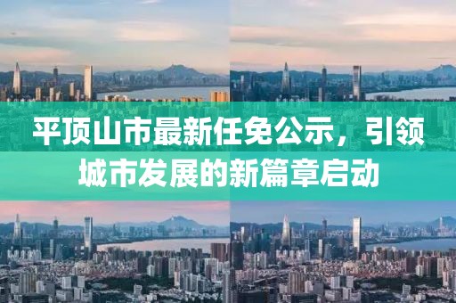 平顶山市最新任免公示，引领城市发展的新篇章启动