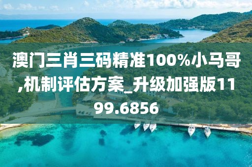 澳门三肖三码精准100%小马哥,机制评估方案_升级加强版1199.6856