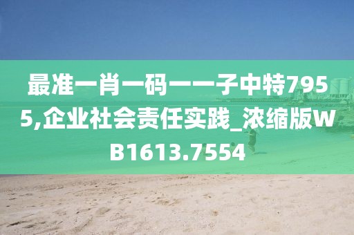 最准一肖一码一一子中特7955,企业社会责任实践_浓缩版WB1613.7554