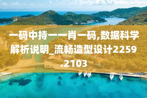 一码中持一一肖一码,数据科学解析说明_流畅造型设计2259.2103