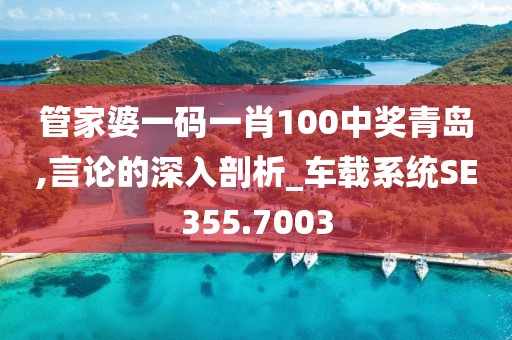 管家婆一码一肖100中奖青岛,言论的深入剖析_车载系统SE355.7003