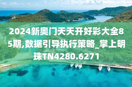 2024新奥门天天开好彩大全85期,数据引导执行策略_掌上明珠TN4280.6271