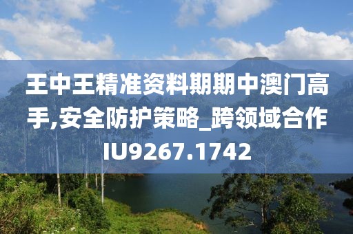 王中王精准资料期期中澳门高手,安全防护策略_跨领域合作IU9267.1742