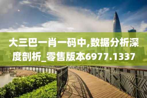 大三巴一肖一码中,数据分析深度剖析_零售版本6977.1337