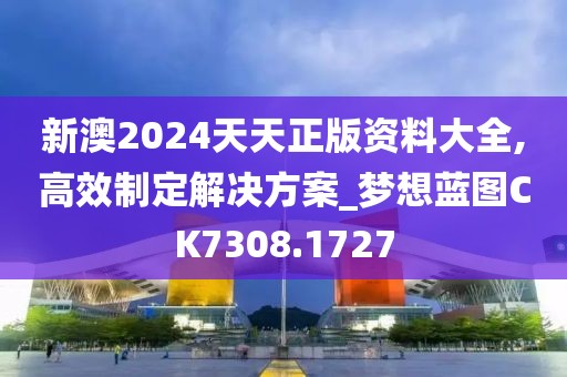 新澳2024天天正版资料大全,高效制定解决方案_梦想蓝图CK7308.1727