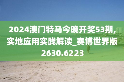 2024澳门特马今晚开奖53期,实地应用实践解读_赛博世界版2630.6223
