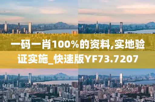 一码一肖100%的资料,实地验证实施_快速版YF73.7207