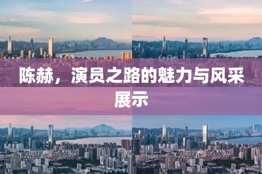 陈赫，演员之路的魅力与风采展示
