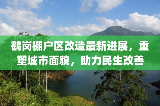 鹤岗棚户区改造最新进展，重塑城市面貌，助力民生改善