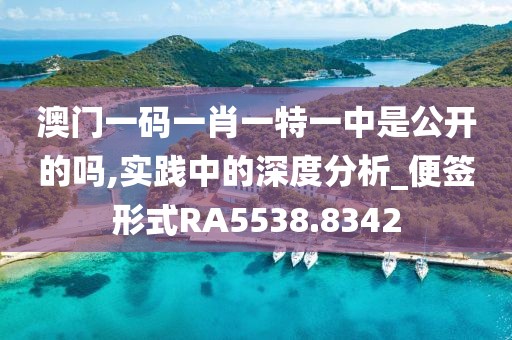 澳门一码一肖一特一中是公开的吗,实践中的深度分析_便签形式RA5538.8342