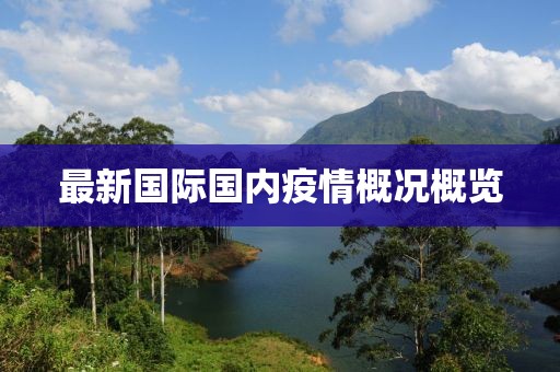 最新国际国内疫情概况概览