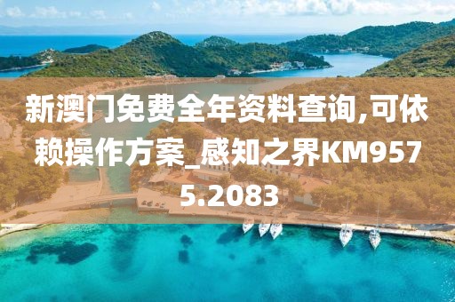 新澳门免费全年资料查询,可依赖操作方案_感知之界KM9575.2083