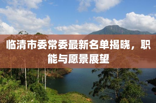 临清市委常委最新名单揭晓，职能与愿景展望