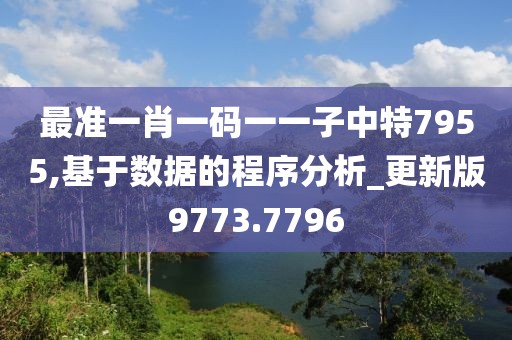 最准一肖一码一一子中特7955,基于数据的程序分析_更新版9773.7796