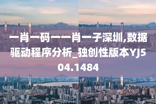 一肖一码一一肖一子深圳,数据驱动程序分析_独创性版本YJ504.1484