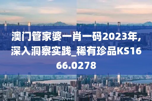 澳门管家婆一肖一码2023年,深入洞察实践_稀有珍品KS1666.0278