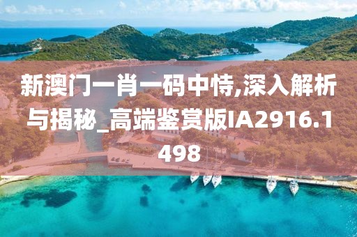 新澳门一肖一码中恃,深入解析与揭秘_高端鉴赏版IA2916.1498