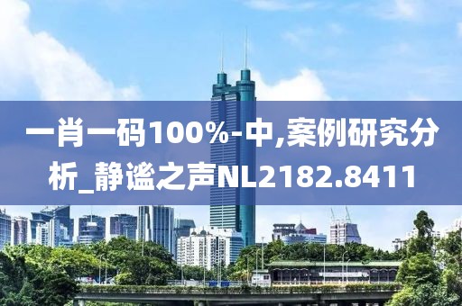 一肖一码100%-中,案例研究分析_静谧之声NL2182.8411