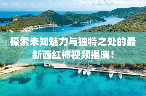 探索未知魅力与独特之处的最新西红柿视频揭晓！