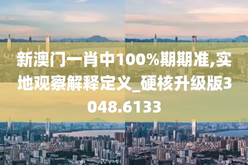 新澳门一肖中100%期期准,实地观察解释定义_硬核升级版3048.6133
