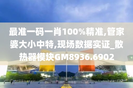 最准一码一肖100%精准,管家婆大小中特,现场数据实证_散热器模块GM8936.6902