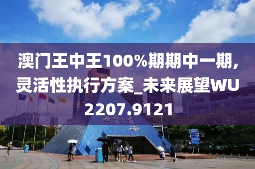 澳门王中王100%期期中一期,灵活性执行方案_未来展望WU2207.9121