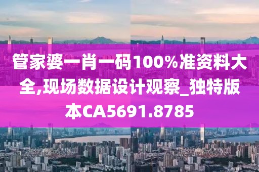 管家婆一肖一码100%准资料大全,现场数据设计观察_独特版本CA5691.8785