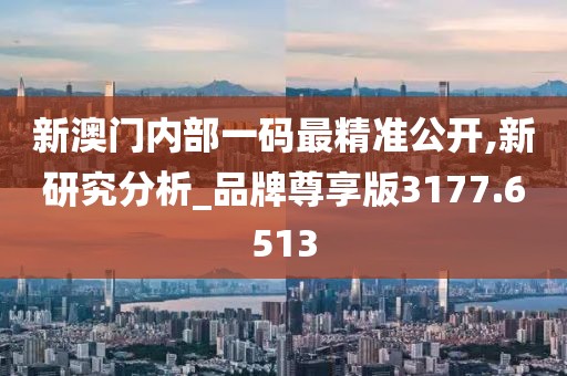 新澳门内部一码最精准公开,新研究分析_品牌尊享版3177.6513