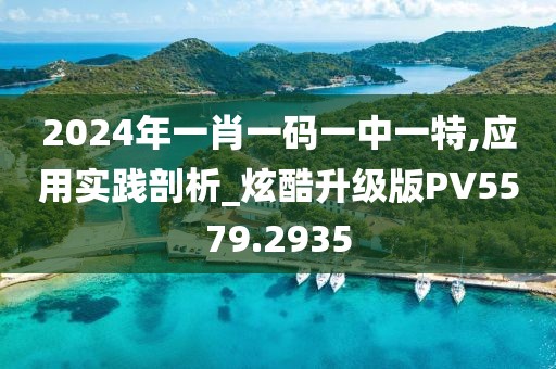 2024年一肖一码一中一特,应用实践剖析_炫酷升级版PV5579.2935