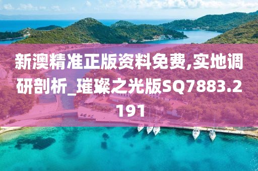 新澳精准正版资料免费,实地调研剖析_璀璨之光版SQ7883.2191