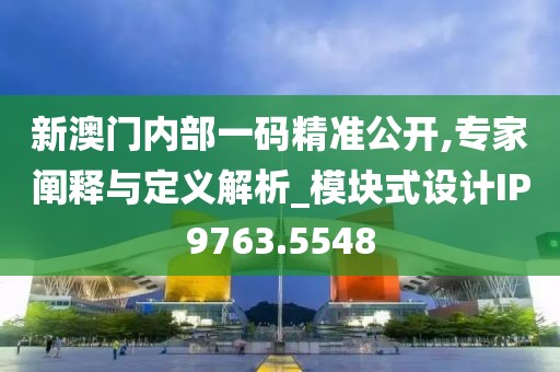新澳门内部一码精准公开,专家阐释与定义解析_模块式设计IP9763.5548