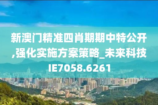 新澳门精准四肖期期中特公开,强化实施方案策略_未来科技IE7058.6261