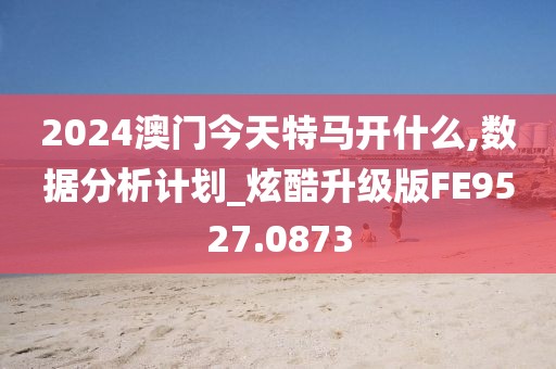 2024澳门今天特马开什么,数据分析计划_炫酷升级版FE9527.0873