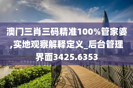 澳门三肖三码精准100%管家婆,实地观察解释定义_后台管理界面3425.6353