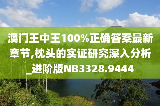 澳门王中王100%正确答案最新章节,枕头的实证研究深入分析_进阶版NB3328.9444