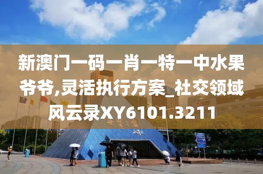 新澳门一码一肖一特一中水果爷爷,灵活执行方案_社交领域风云录XY6101.3211