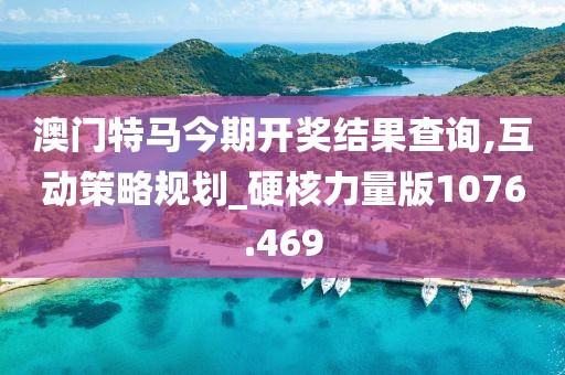 澳门特马今期开奖结果查询,互动策略规划_硬核力量版1076.469
