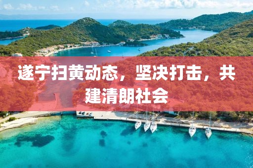 遂宁扫黄动态，坚决打击，共建清朗社会