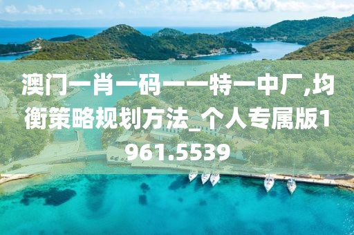 澳门一肖一码一一特一中厂,均衡策略规划方法_个人专属版1961.5539