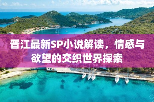 晋江最新SP小说解读，情感与欲望的交织世界探索