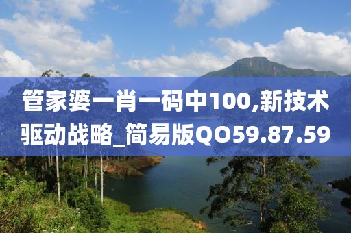 管家婆一肖一码中100,新技术驱动战略_简易版QO59.87.59