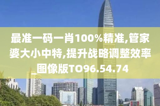最准一码一肖100%精准,管家婆大小中特,提升战略调整效率_图像版TO96.54.74