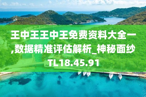 王中王王中王免费资料大全一,数据精准评估解析_神秘面纱TL18.45.91