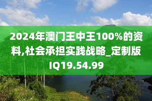 2024年澳门王中王100%的资料,社会承担实践战略_定制版IQ19.54.99