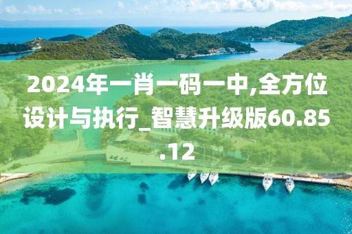 2024年一肖一码一中,全方位设计与执行_智慧升级版60.85.12