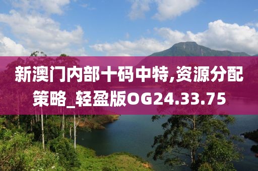 新澳门内部十码中特,资源分配策略_轻盈版OG24.33.75