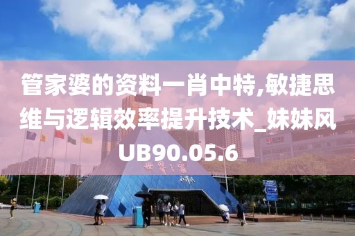 管家婆的资料一肖中特,敏捷思维与逻辑效率提升技术_妹妹风UB90.05.6