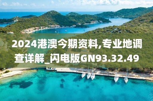 2024港澳今期资料,专业地调查详解_闪电版GN93.32.49