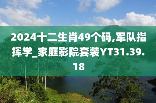 2024十二生肖49个码,军队指挥学_家庭影院套装YT31.39.18
