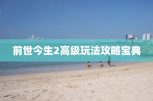 前世今生2高级玩法攻略宝典